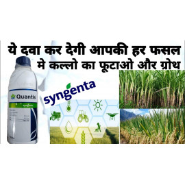 क्वांटिस (एमिनो एसिड और पोषक तत्व) -400 ML