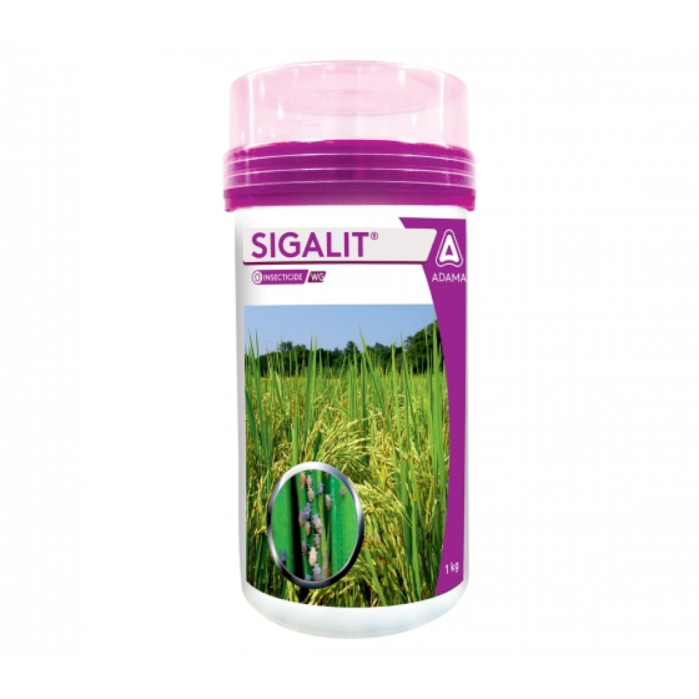 सिगालिट