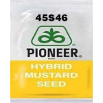 पायनियर - सरसों 45S46 - 1 KG